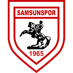 Team Logo